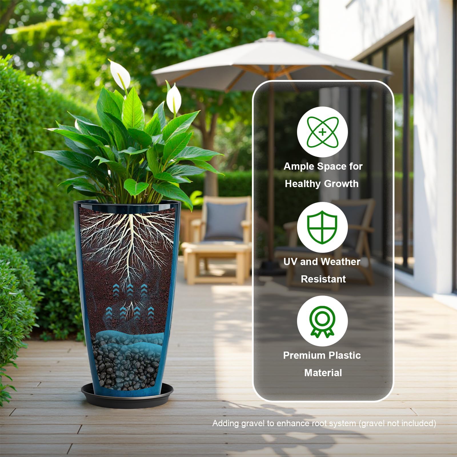 QCQHDU planter with palm plant showing ample root space and healthy growth