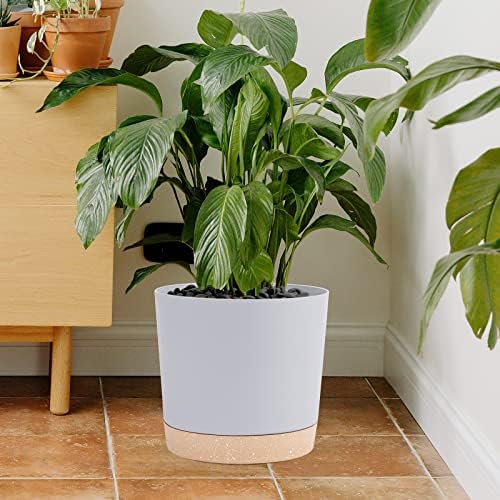 QCQHDU pot next to book showing size and lightweight portability benefit
