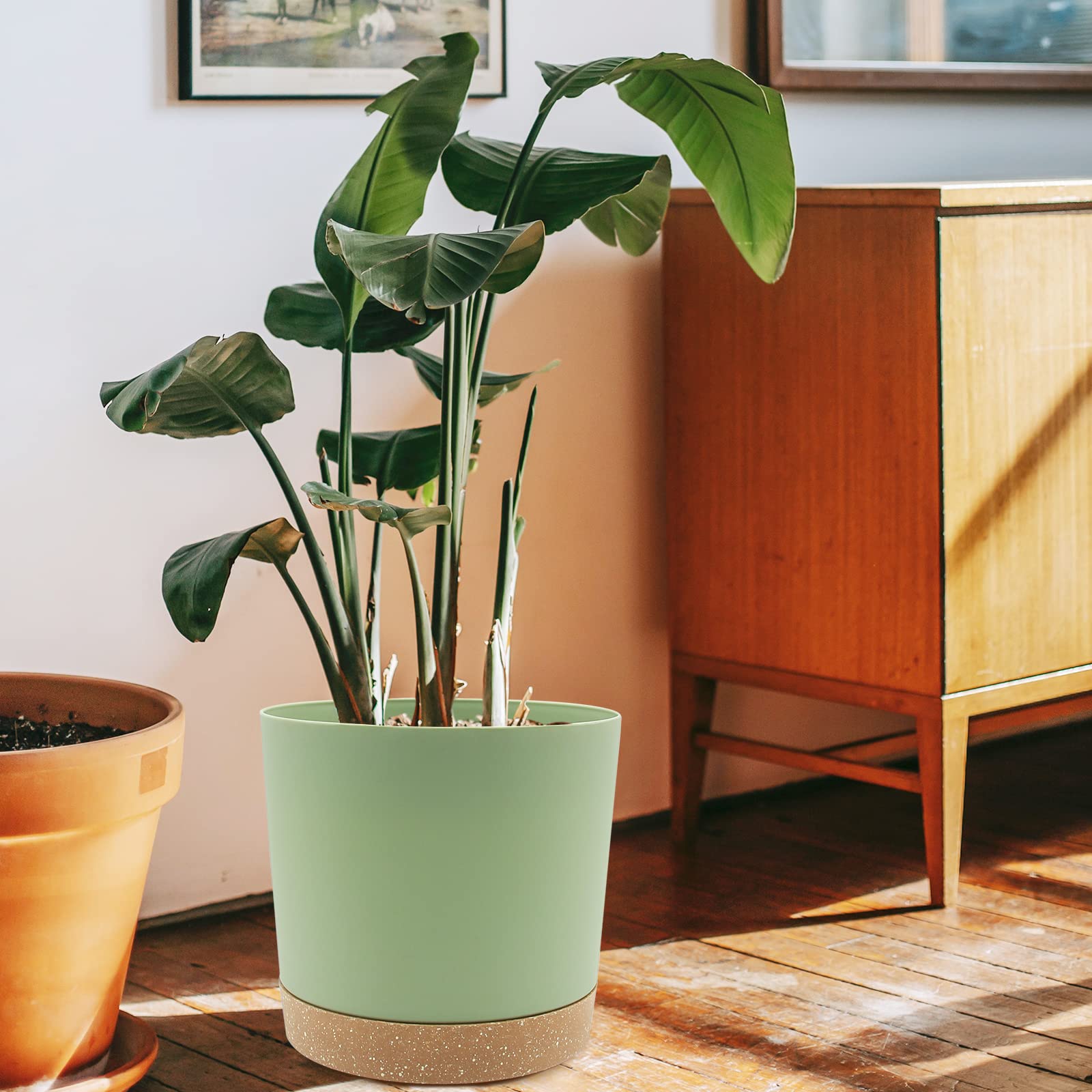 QCQHDU trio shelf display demonstrating mix-and-match styling benefit