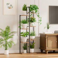 Qiaogreen shelf texture and rim detail illustrating secure pot support