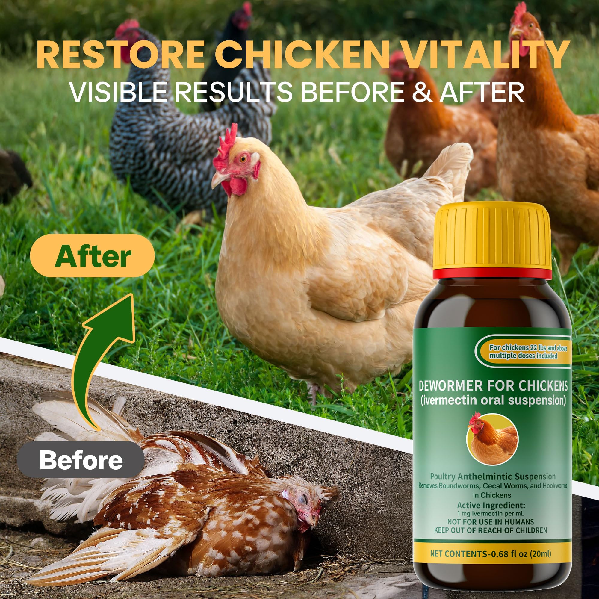 QIFEISHANKA in-use: chicken drinking treated water for stress-free dosing