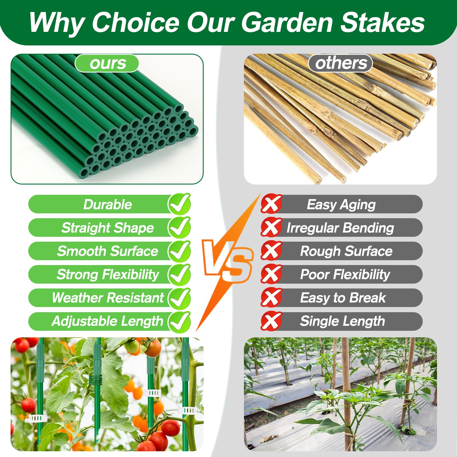 Qinzave assembled triangular tomato cage supporting healthy vines