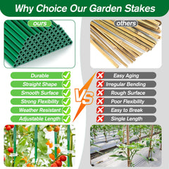 Qinzave assembled triangular tomato cage supporting plant growth