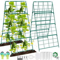 Qinzave front view a-frame trellis showing sturdy support and tidy garden benefit