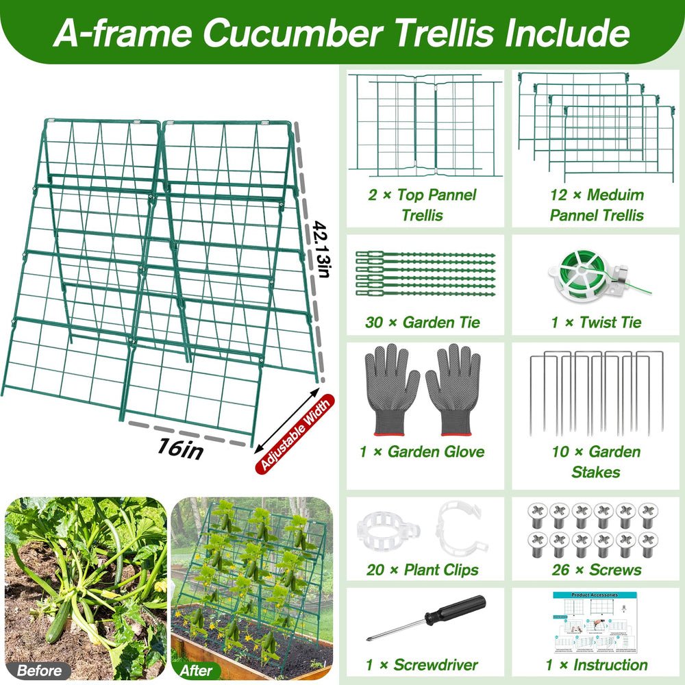 Qinzave A-frame in raised bed supporting cucumbers for cleaner fruit