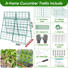 Qinzave A-frame in raised bed supporting cucumbers for cleaner fruit