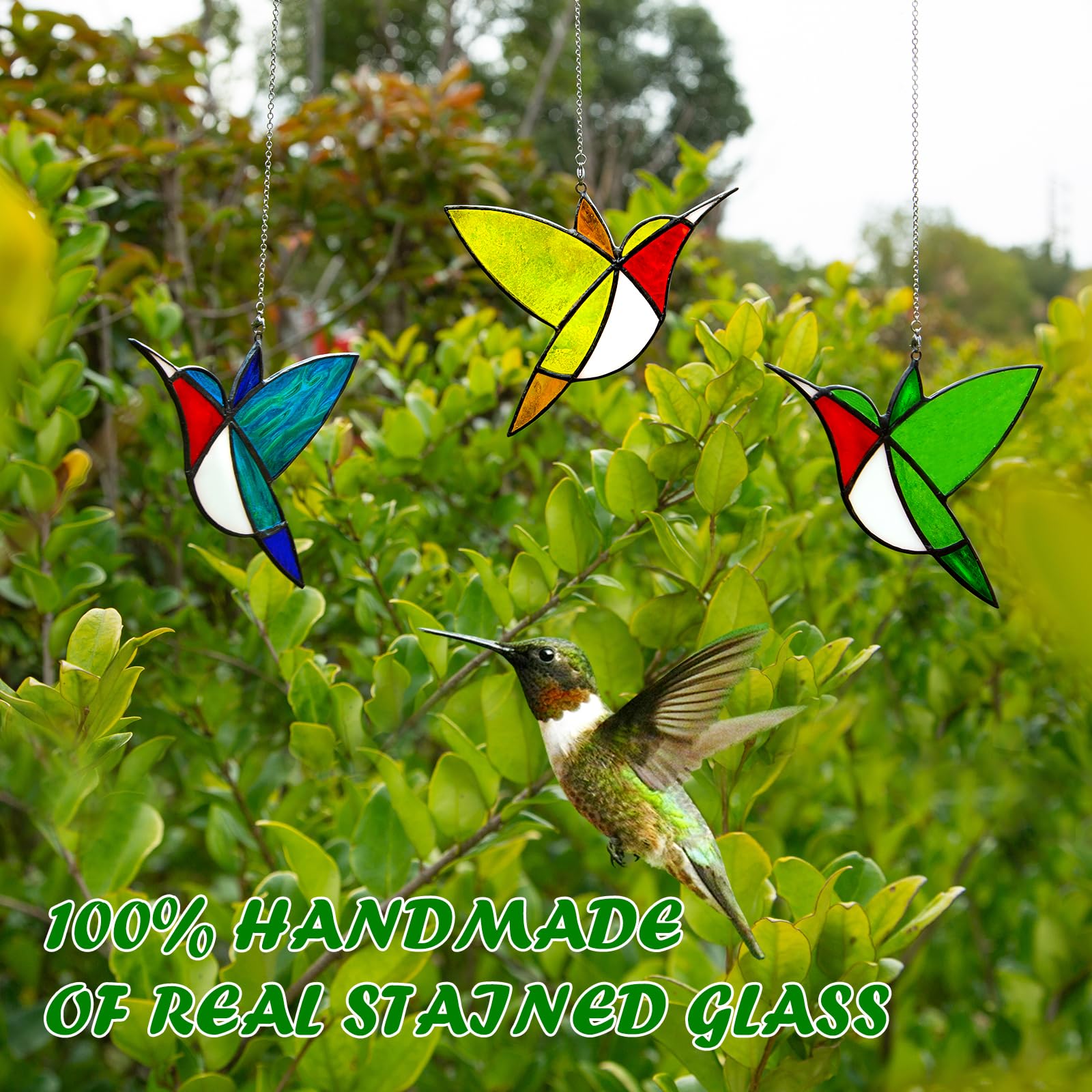 QIZFEV hummingbird in window casting colorful sunlight reflections on nearby surfaces