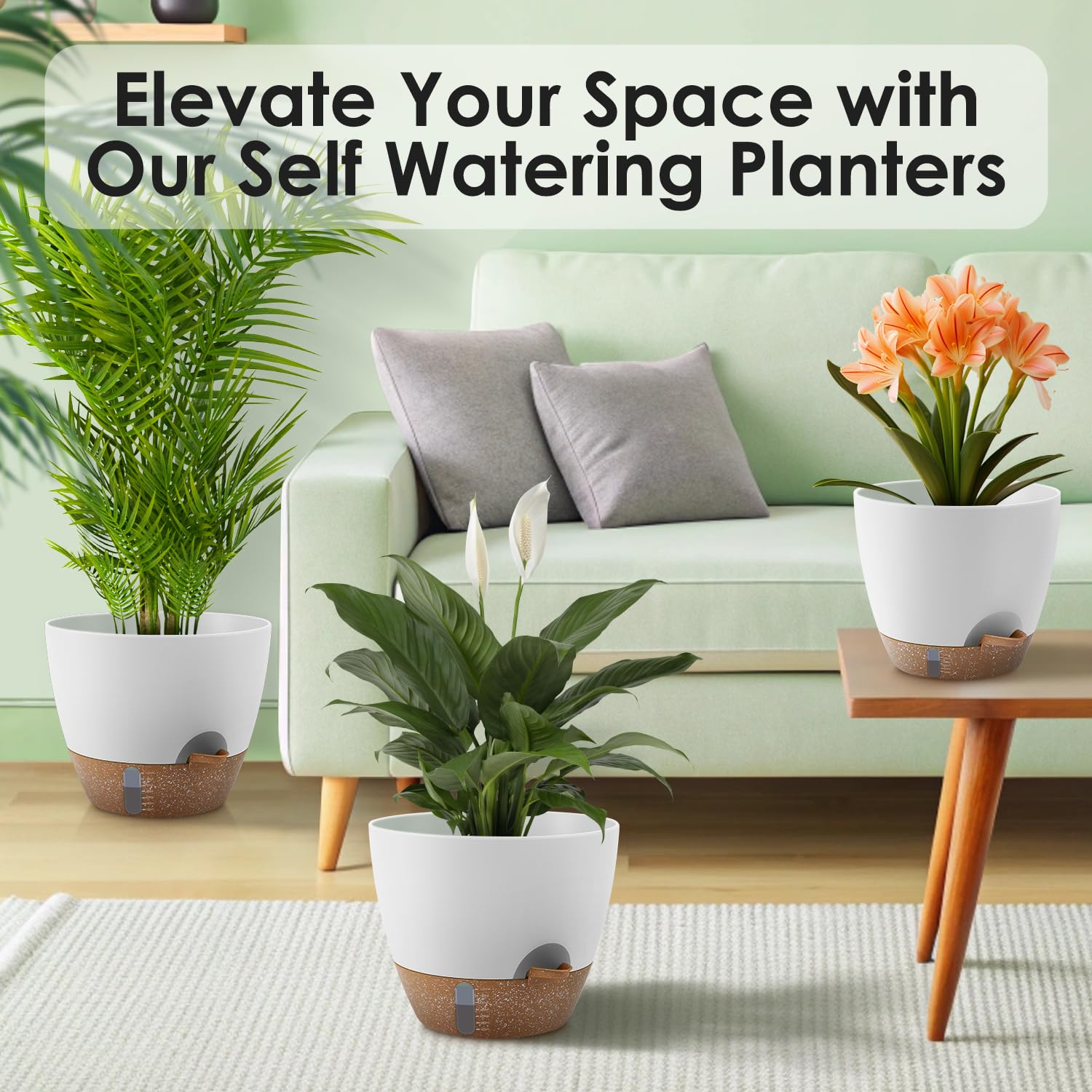 QRRICA planters displayed in a living room adding greenery and low-maintenance plant care