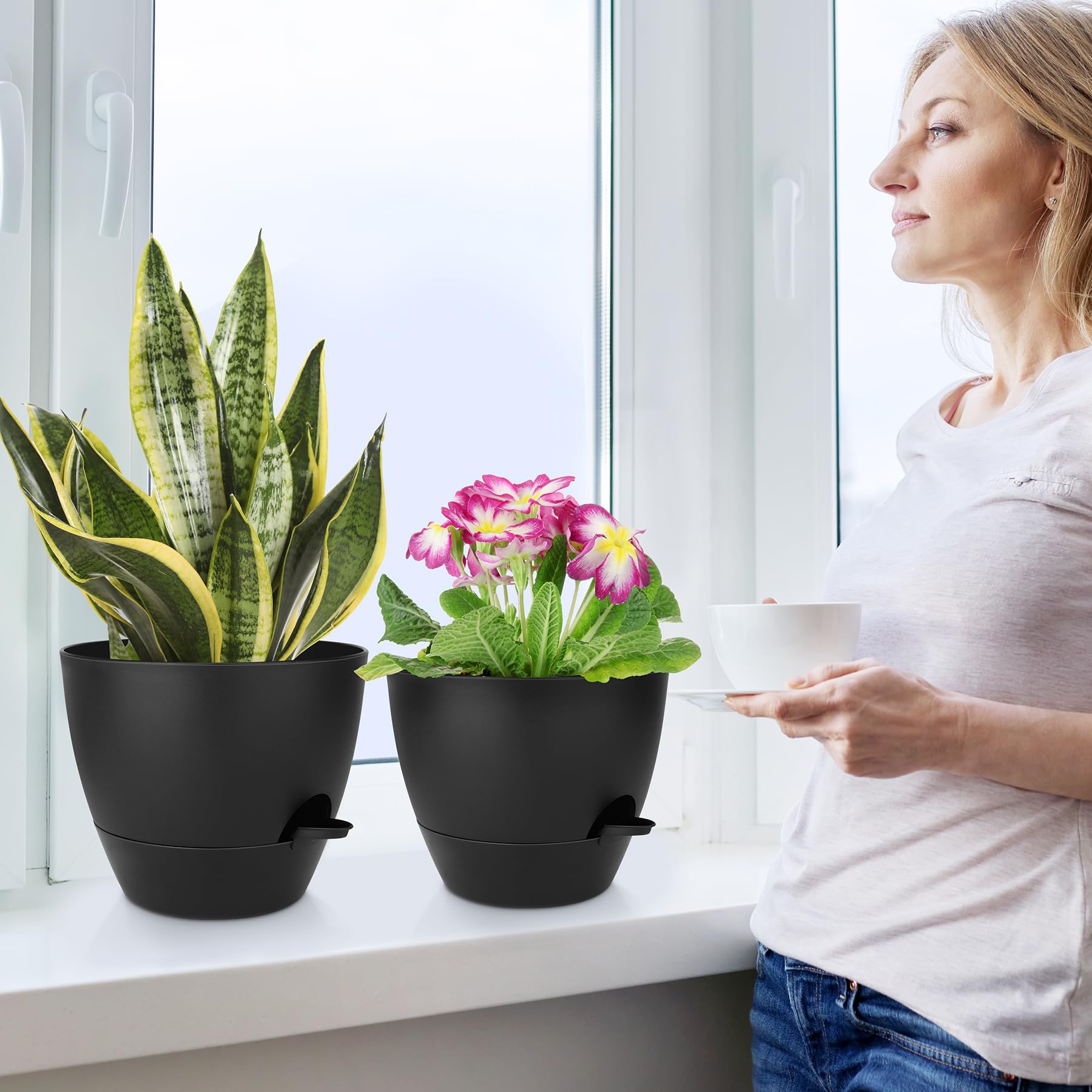 QRRICA size comparison of 12, 10, 9 inch pots showing scale for common plants