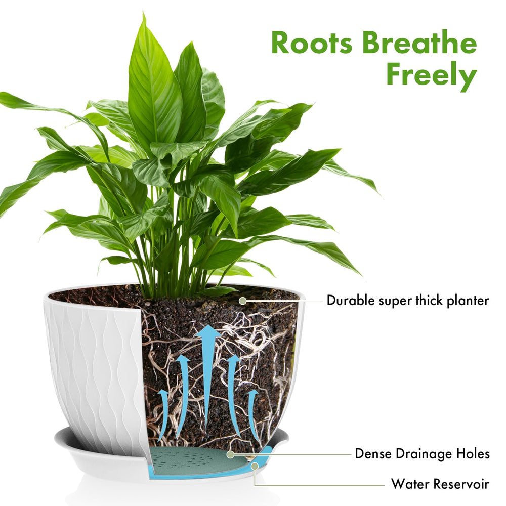 QRRICA indoor styling with plants in pot set displaying attractive greenery