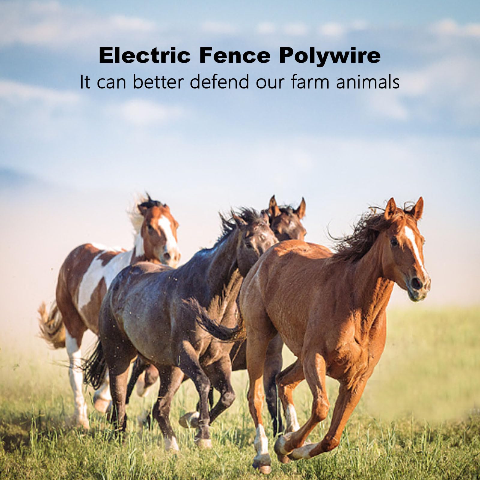 QSHOHSQ red and white wire visible in pasture for improved safety