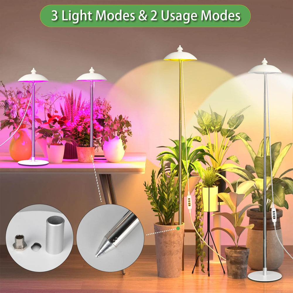 Qtittu base and cone mount options side-by-side, offers versatile placement choices