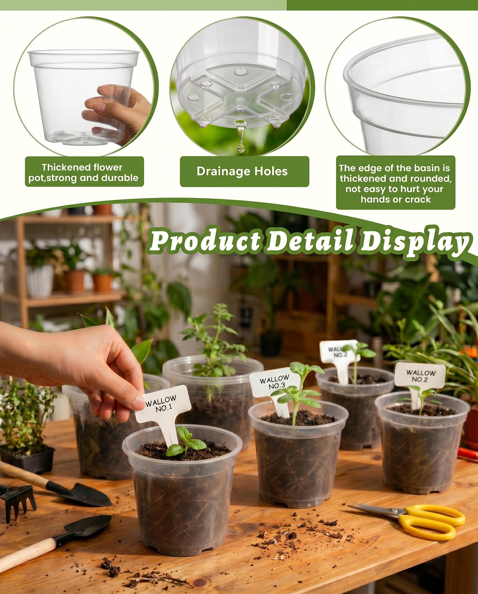 QTQIHANG clear pot inside decorative ceramic displaying neat finish benefit