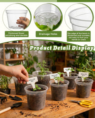 QTQIHANG clear pot inside decorative ceramic displaying neat finish benefit