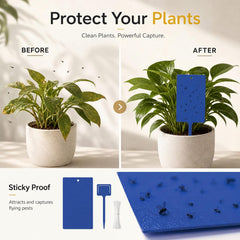 Qualirey adhesive close-up highlighting sticky texture that captures flying pests