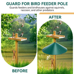 Qualirey assembled on 4x4 post demonstrating reliable feeder protection