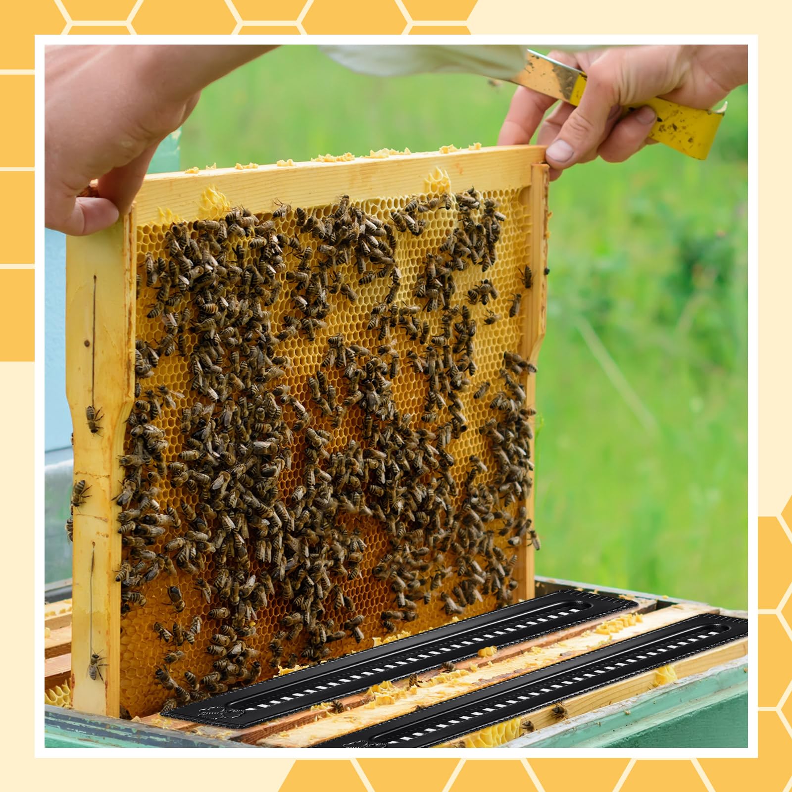 Qualirey beekeeper installing trap demonstrating easy, tool-free setup