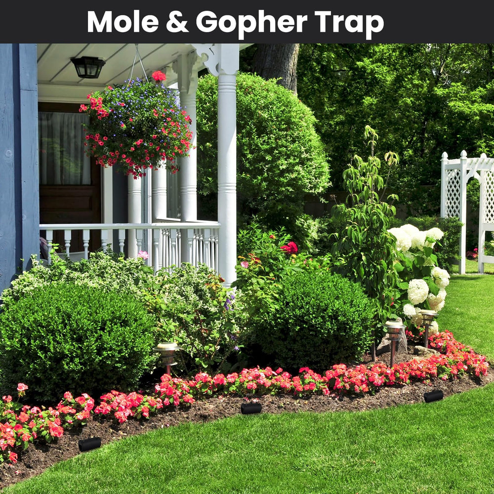 Qualirey trap in garden setting illustrating yard protection and reusable pest control benefit