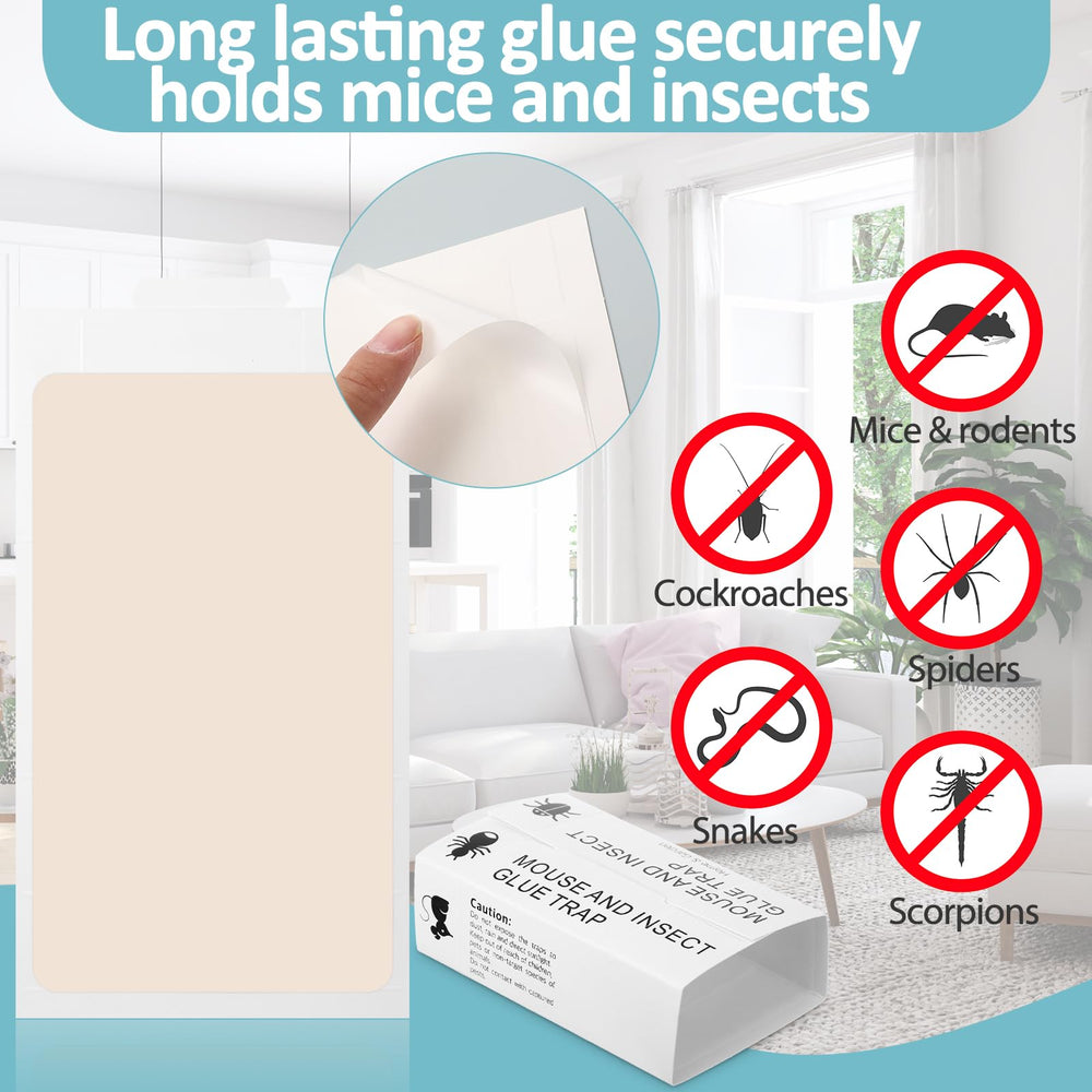 Qualirey glue board with captured rodent illustrating secure hold and inspection