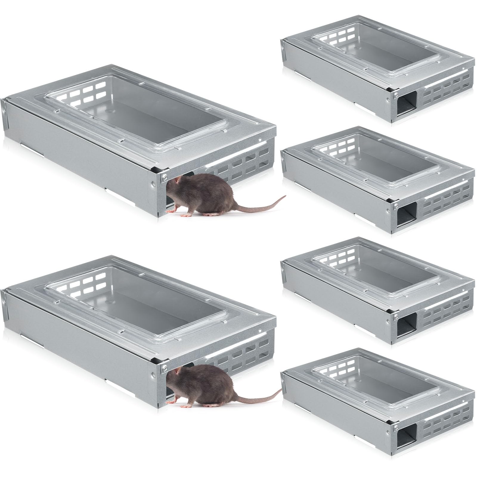 Qualirey clear top front view showing trap ready and easy monitoring