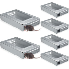 Qualirey clear top front view showing trap ready and easy monitoring