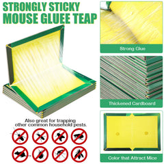 Qualirey folded trap shapes demonstrating flexible placement in narrow spaces