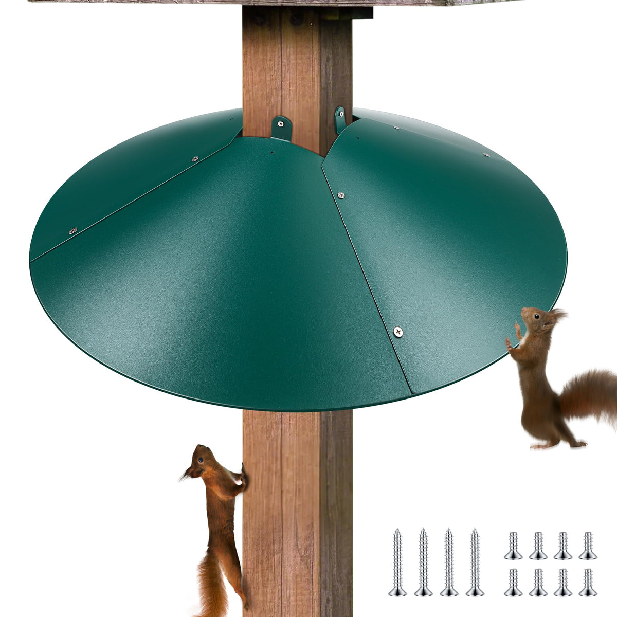 Qualirey front view on post showing protective benefit against squirrels