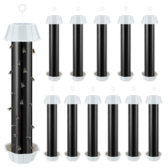 Qualirey front packaging showing 12-pack black strips and benefits