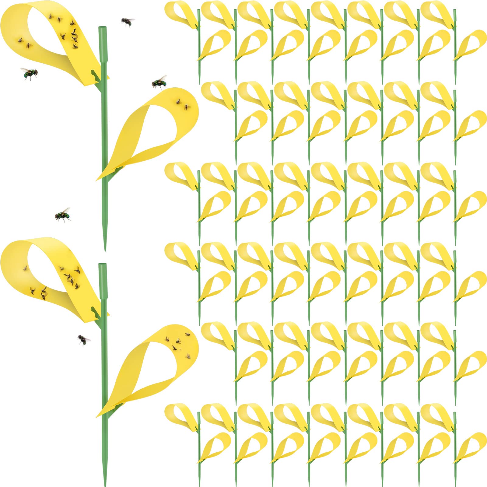 Qualirey front packaging showing 300 yellow sticky traps for bulk pest control