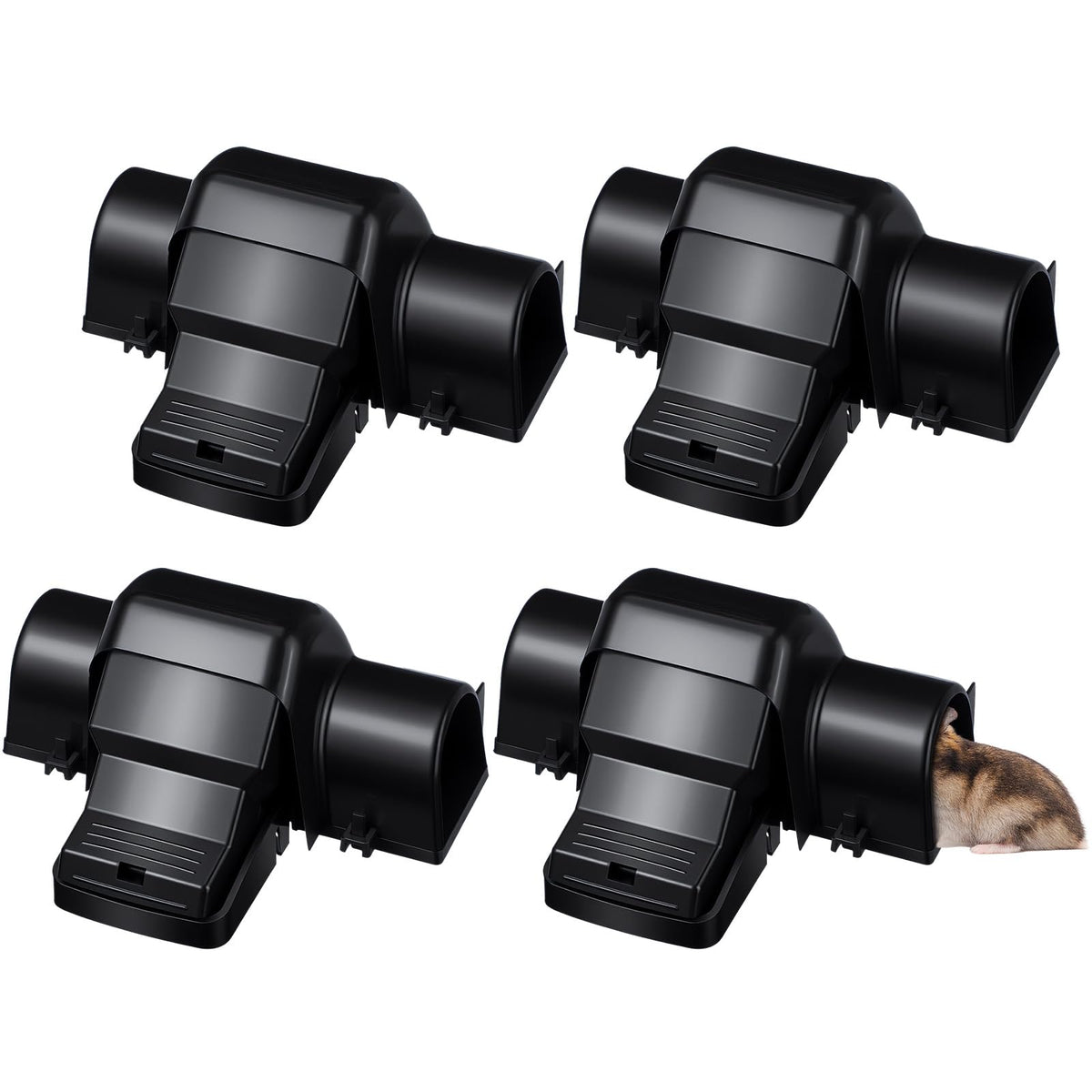 Qualirey front packaging showing four extra large traps and features