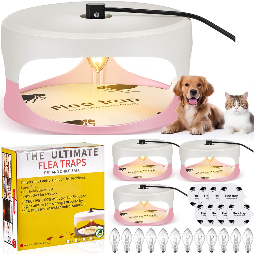 Qualirey front packaging showing four round traps and accessories for quick setup