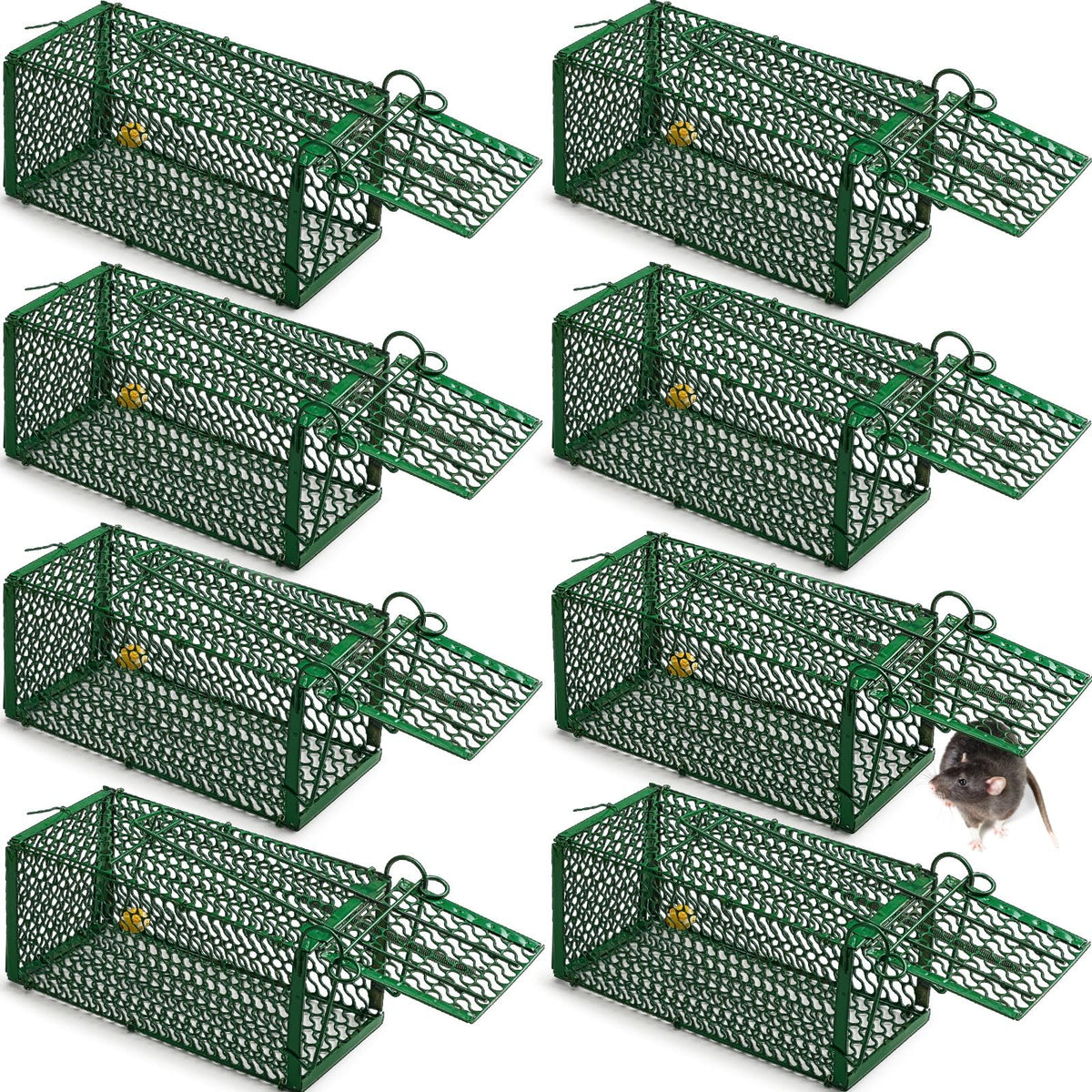 Qualirey front view green cage trap showing closed door and mesh for quick identification benefit