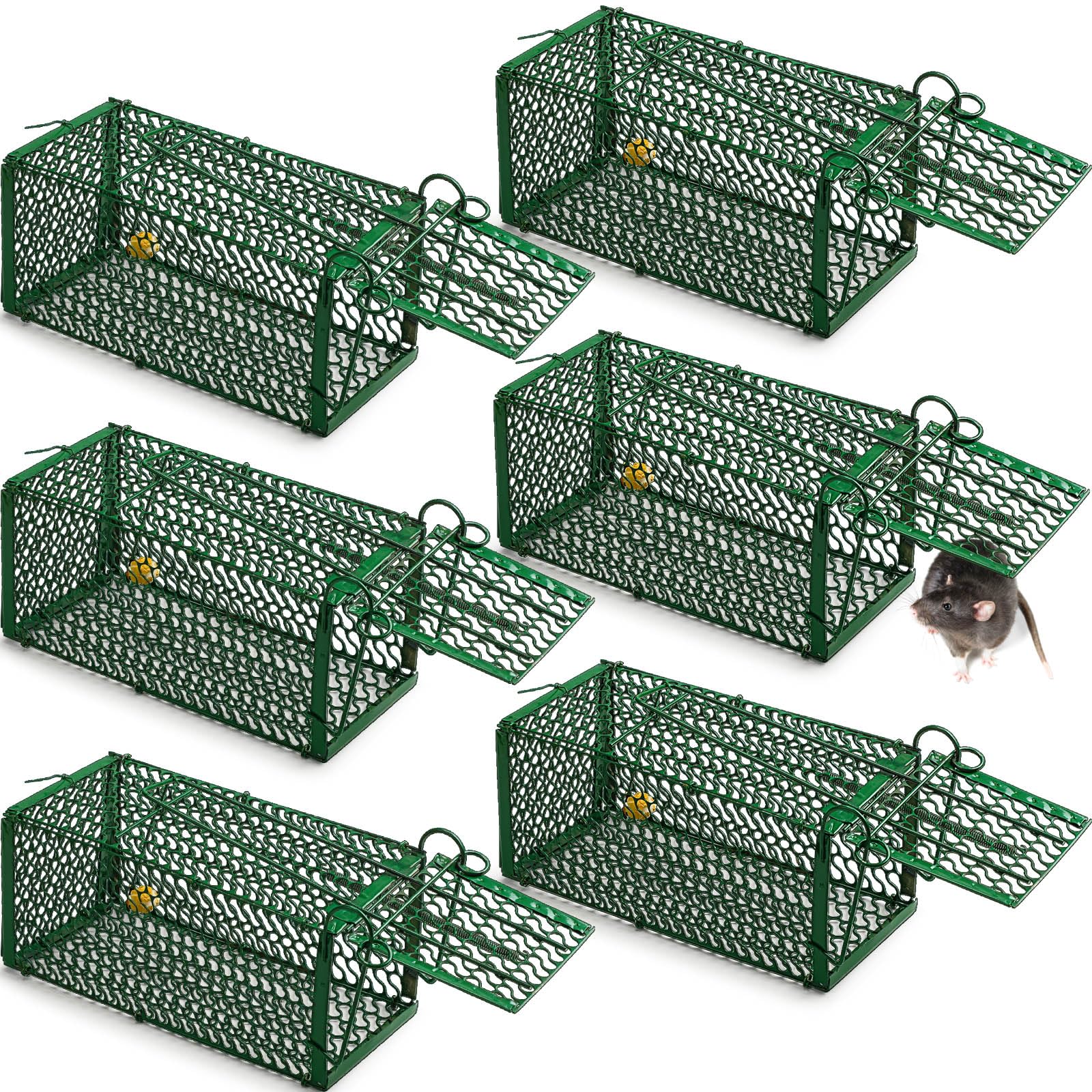 Qualirey front view of green wire cage showing secure humane capture