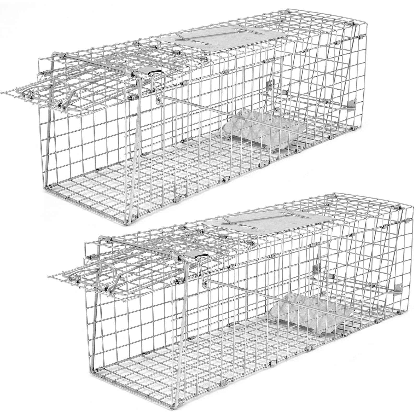Qualirey front view of both traps showing compact paired set and quick deployment benefit