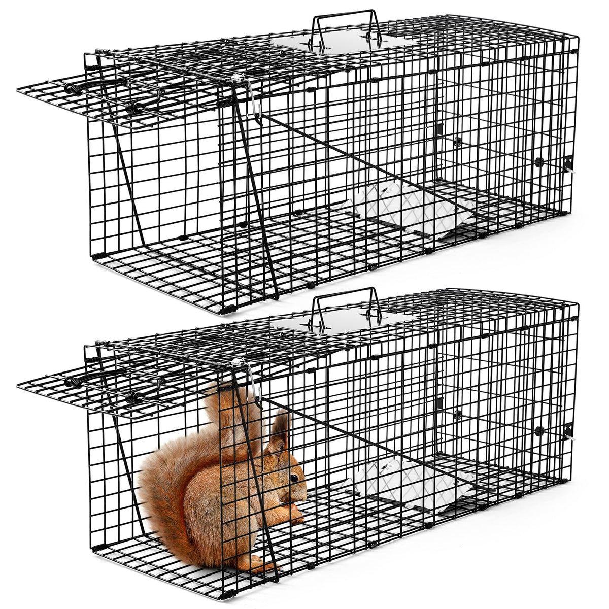Qualirey front view of two traps showing compact packaged set and convenience