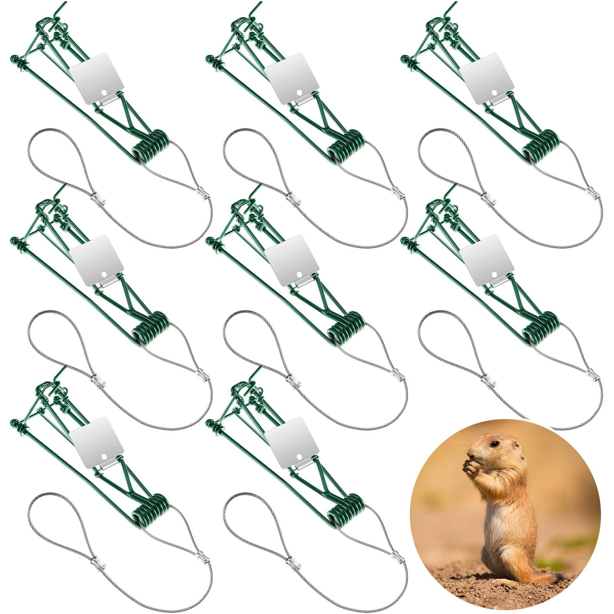 Qualirey front view packaging showing eight green stainless steel traps, convenient kit