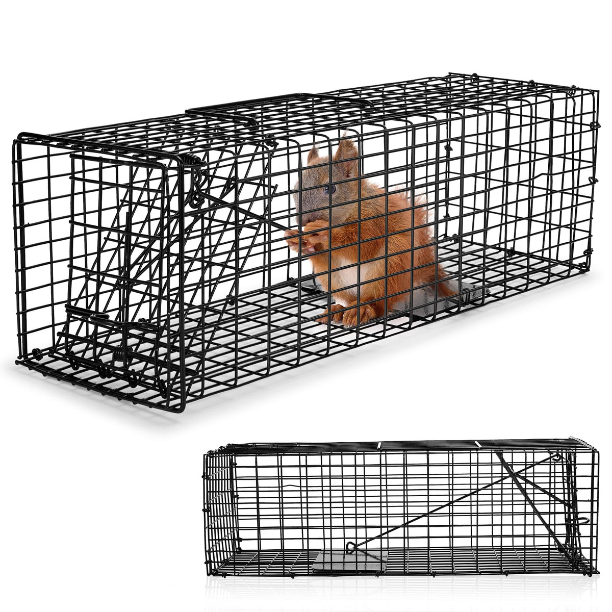 Qualirey front view of two green traps showing durable construction and quick setup benefit