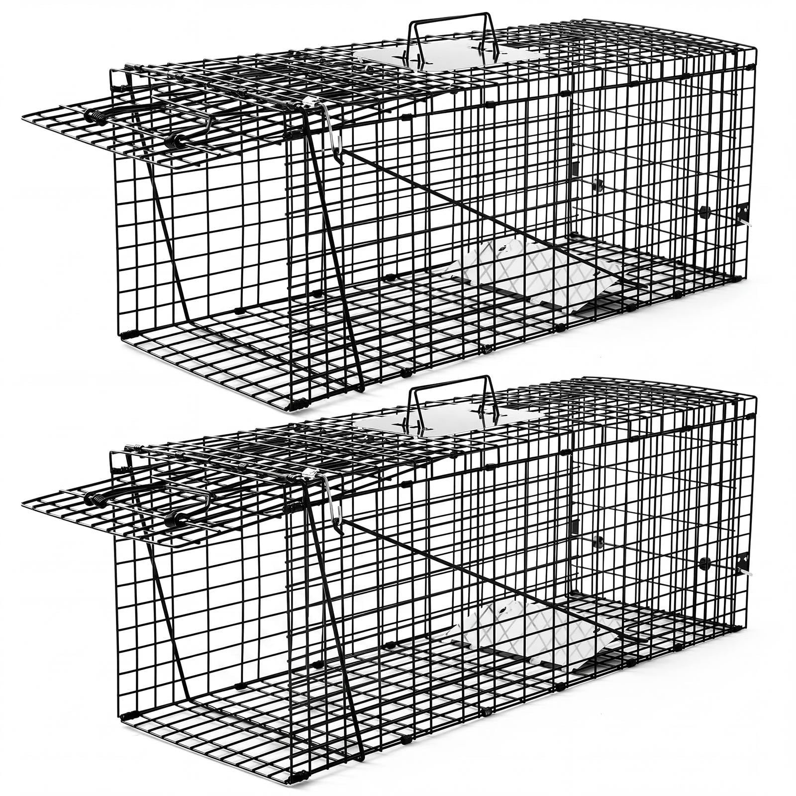 Qualirey front view of both traps showing sturdy frame and humane capture benefit