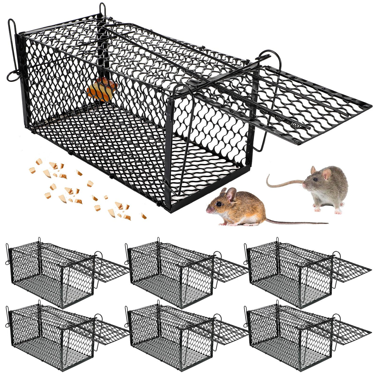 Qualirey front view of black metal trap showing door and mesh for safe capture