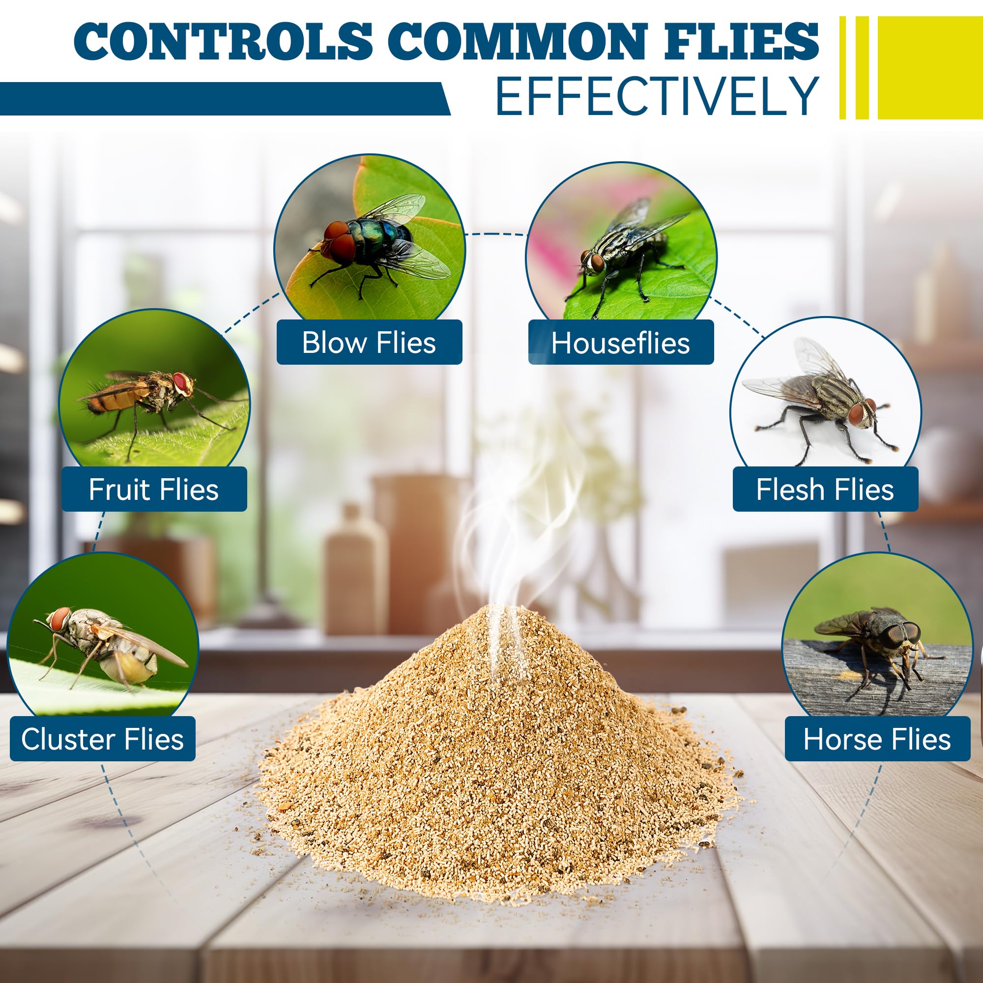 Qualirey funnel entrance detail guiding flies in, benefit: easy capture and retention