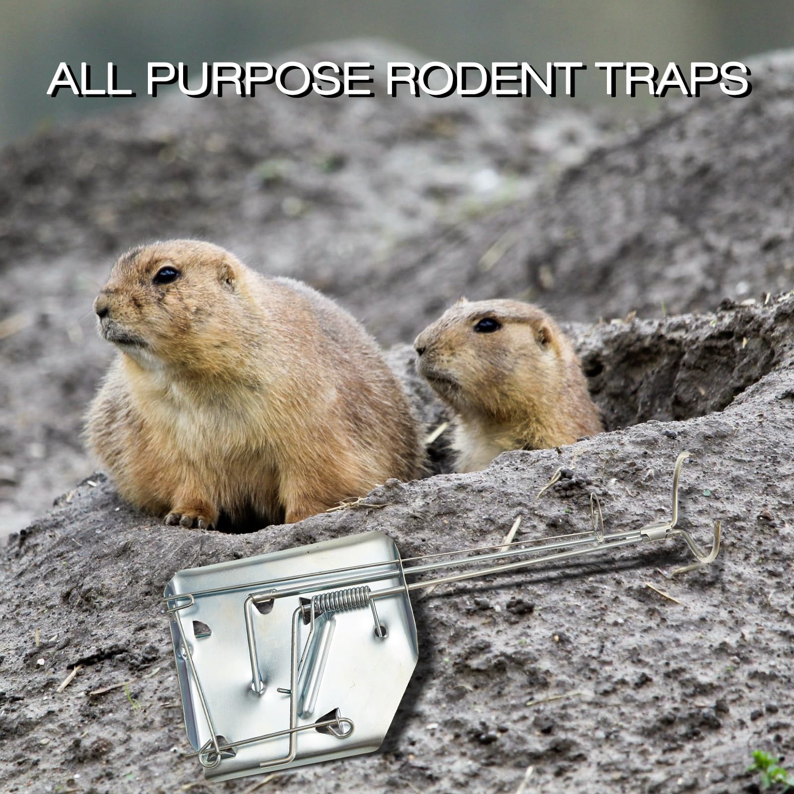 Qualirey traps deployed in a lawn illustrating landscape protection and reduced tunnel damage