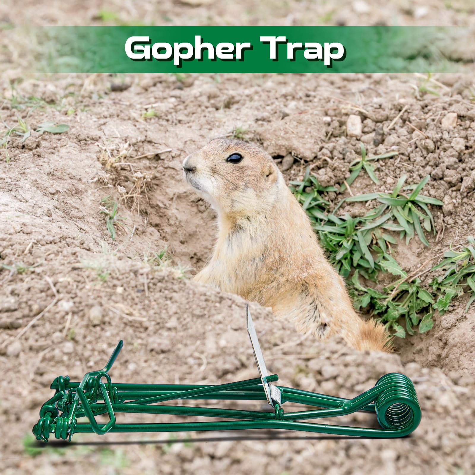 Qualirey trap installed in garden near plants providing discreet protection