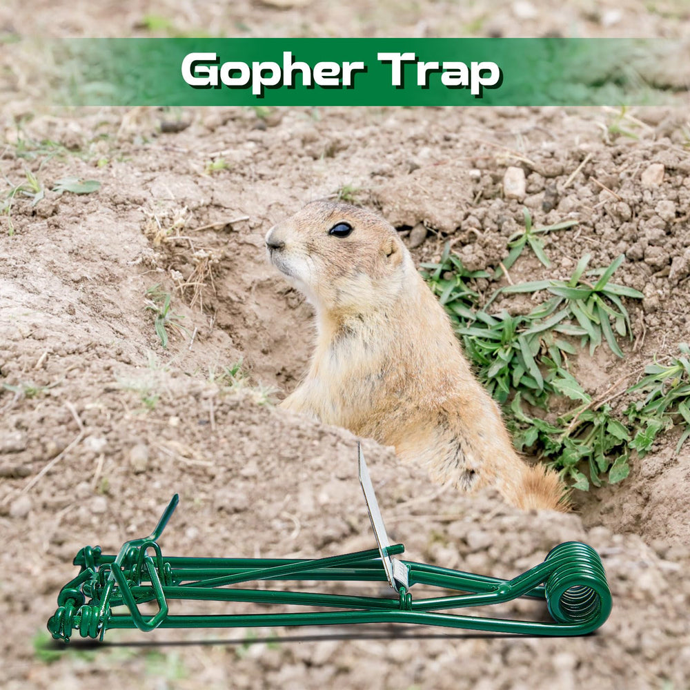 Qualirey trap installed in garden near plants providing discreet protection