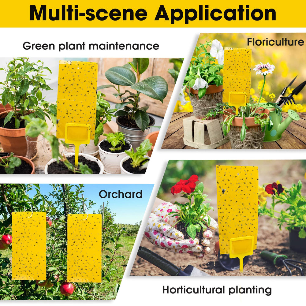 Qualirey multiple traps in greenhouse protecting plants efficiently