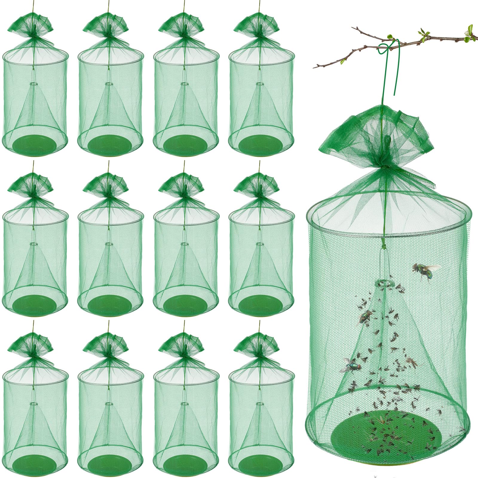 Qualirey hanging fly trap front view showing full cage and hanging hook for wide coverage