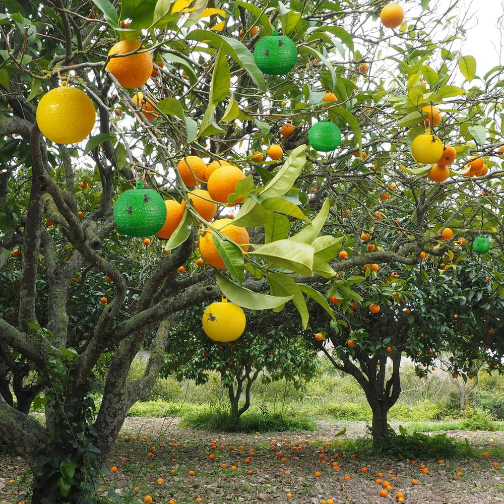 Qualirey hanging in garden from a branch protecting fruit and plants