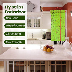 Qualirey hanging fly trap in kitchen near window reducing flying insects