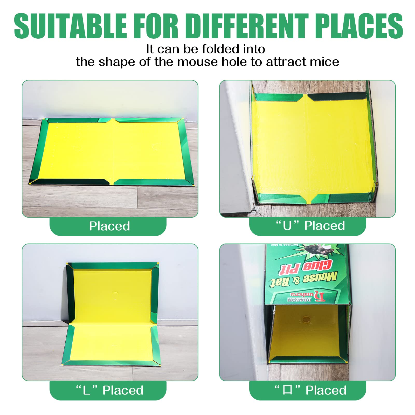 Qualirey trap in use with captured mouse showing effective, hands-free removal