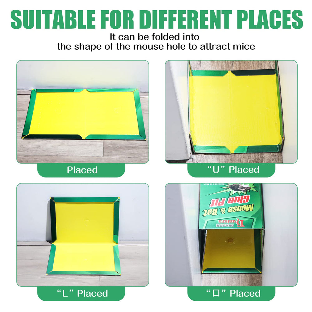 Qualirey trap in use with captured mouse showing effective, hands-free removal