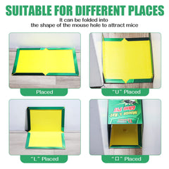 Qualirey trap in use with captured mouse showing effective, hands-free removal